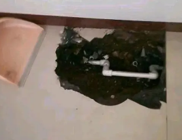 茂南卫生间测漏水多少钱